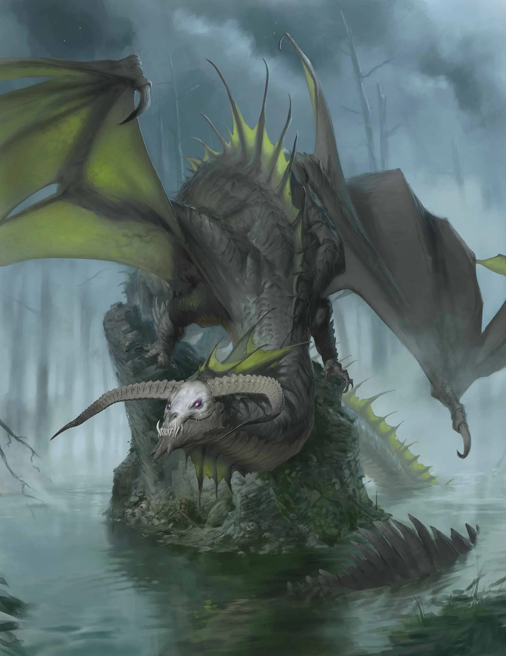 /Rules/Source/books/fizbans-treasury-of-dragons/img/029-03-017-in-the-heart.webpcenter wmed