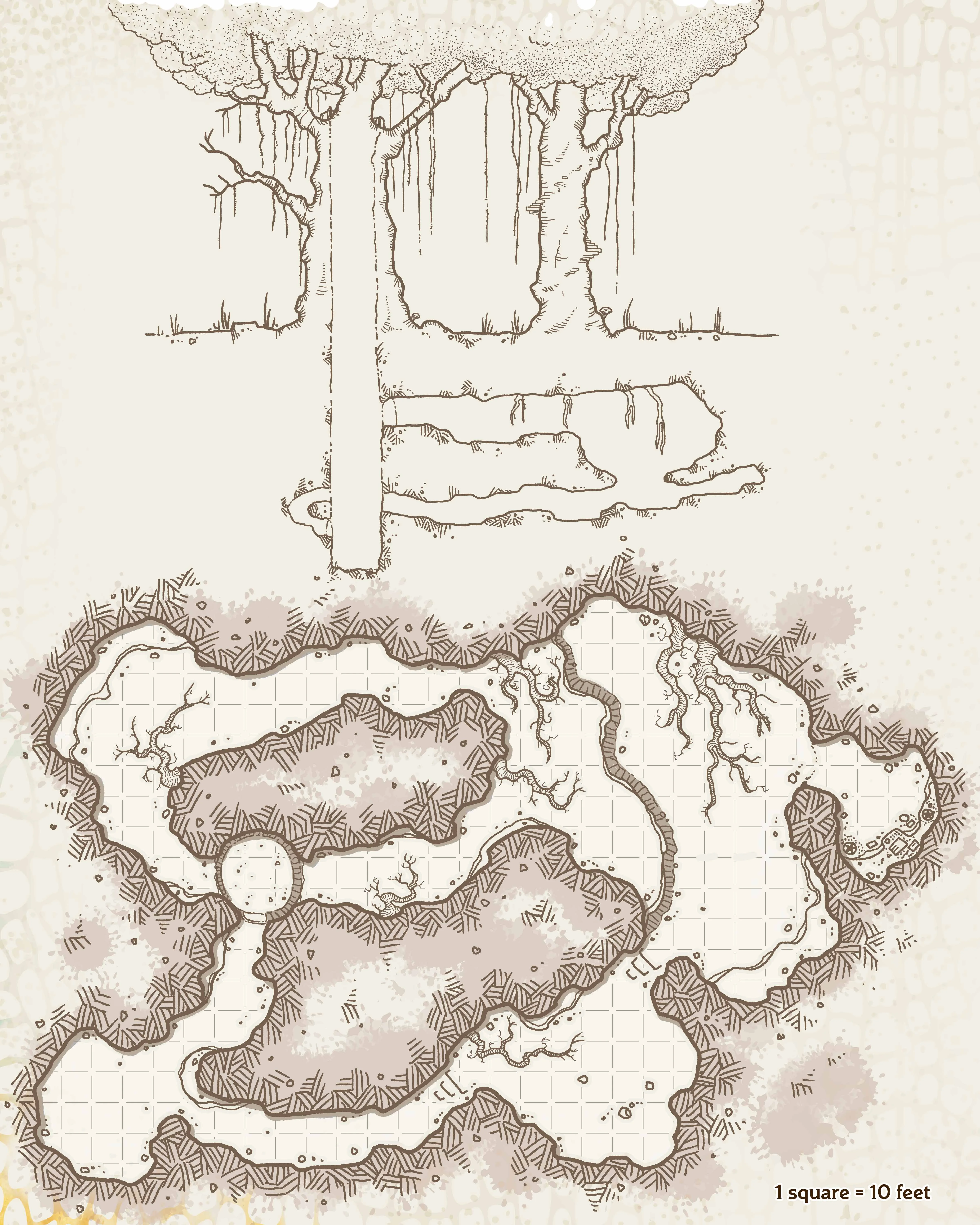 /Rules/Source/books/fizbans-treasury-of-dragons/img/072-map-5-10-green-dragon-lair-player.webpgallery wmed