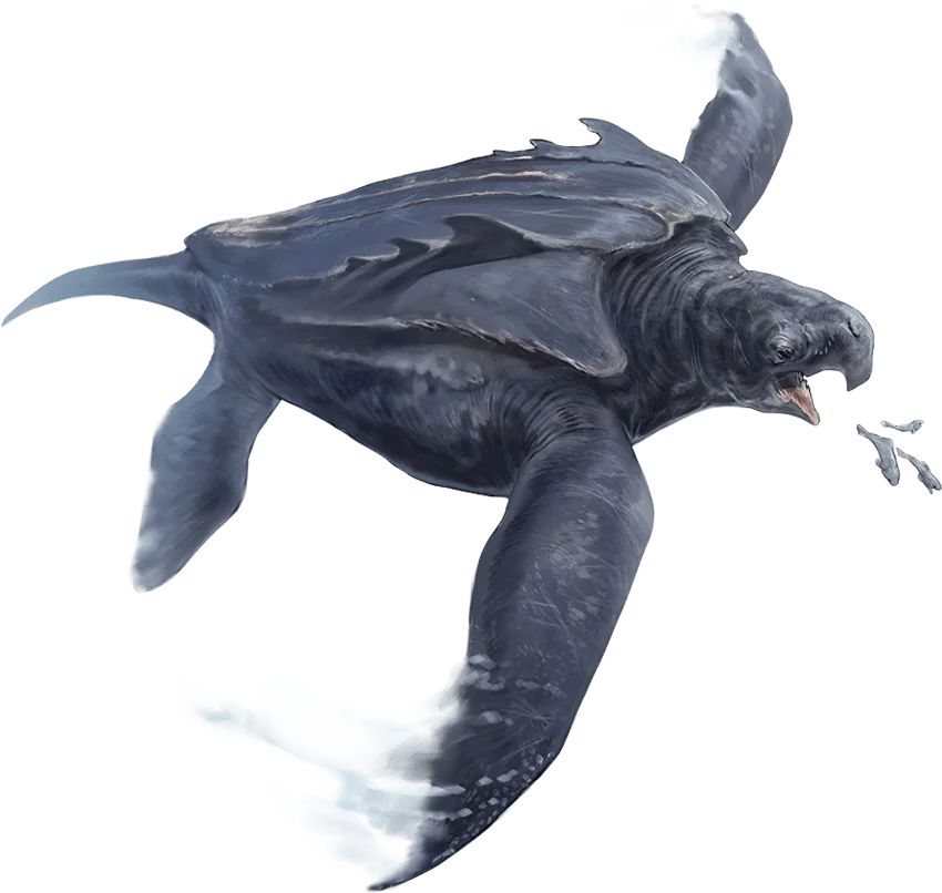 /Rules/Source/books/monster-manual-2025/img/001-27-002-animals-archelon.webpcenter wmed