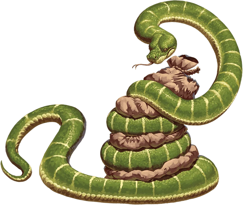 /Rules/Source/books/monster-manual-2025/img/004-27-005-constrictor-snake.webpcenter wmed