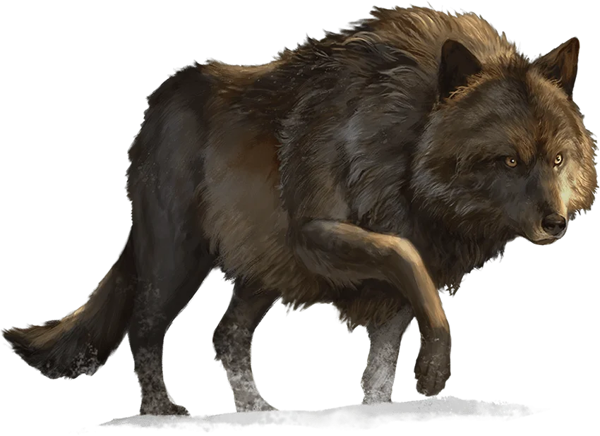 /Rules/Source/books/monster-manual-2025/img/005-27-006-dire-wolf.webpcenter wmed