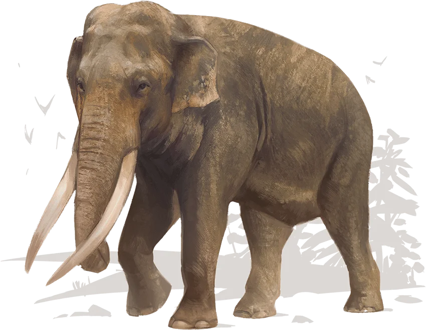 /Rules/Source/books/monster-manual-2025/img/006-27-007-elephant.webpcenter wmed