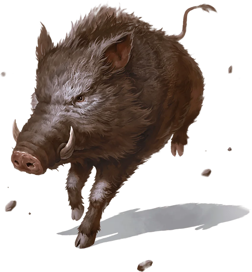 /Rules/Source/books/monster-manual-2025/img/008-27-009-giant-boar.webpcenter wmed