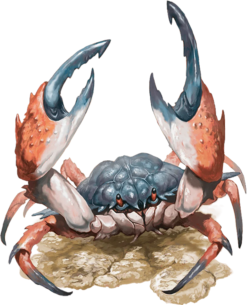 /Rules/Source/books/monster-manual-2025/img/009-27-010-giant-crab.webpcenter wmed