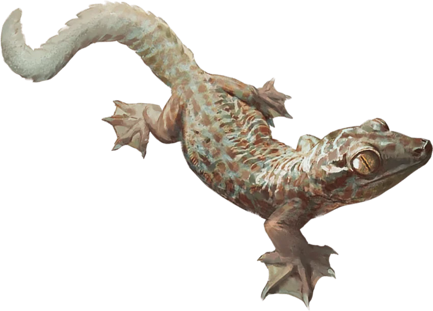 /Rules/Source/books/monster-manual-2025/img/011-27-012-giant-lizard.webpcenter wmed