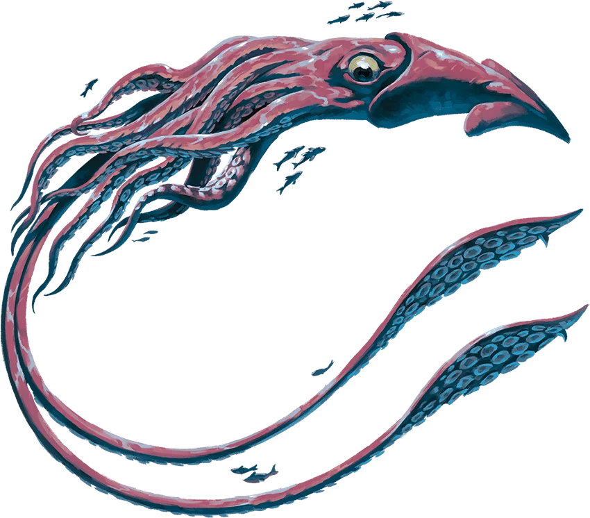 /Rules/Source/books/monster-manual-2025/img/012-27-013-giant-squid.webpcenter wmed