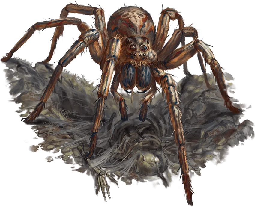 /Rules/Source/books/monster-manual-2025/img/015-27-016-giant-spider.webpcenter wmed