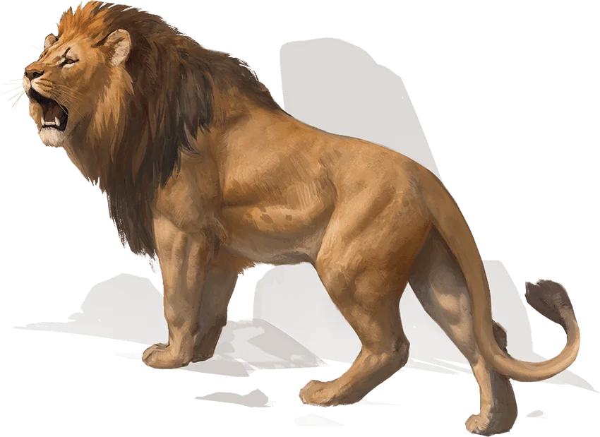 /Rules/Source/books/monster-manual-2025/img/018-27-019-lion.webpcenter wmed