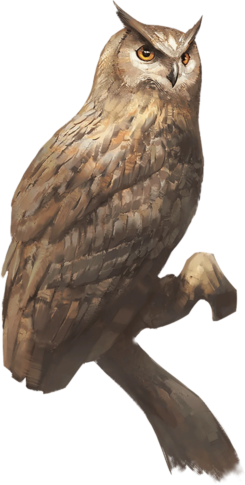 /Rules/Source/books/monster-manual-2025/img/020-27-021-owl.webpcenter wmed