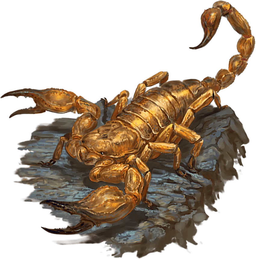 /Rules/Source/books/monster-manual-2025/img/023-27-024-scorpion.webpcenter wmed