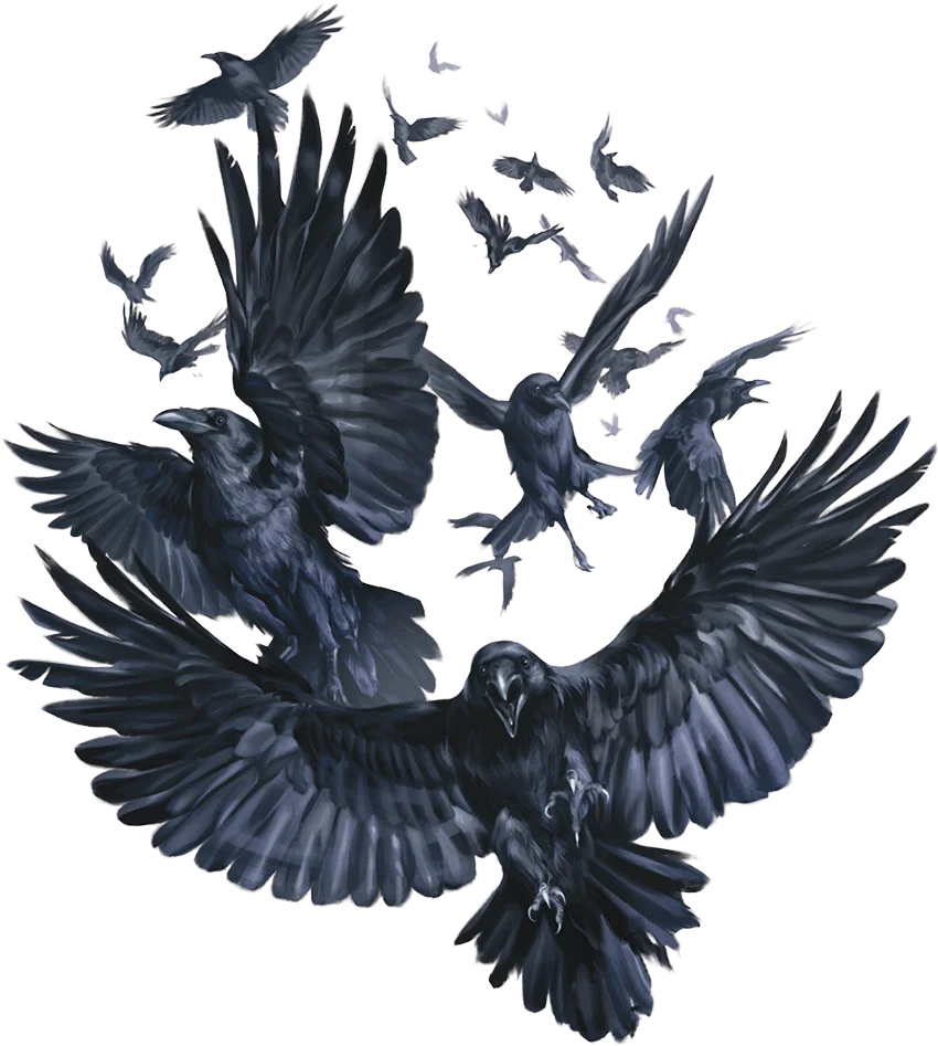 /Rules/Source/books/monster-manual-2025/img/024-27-025-swarm-of-ravens.webpcenter wmed