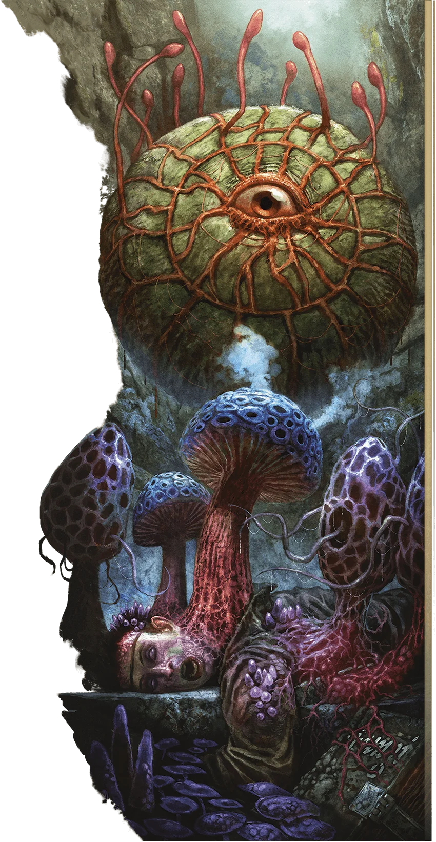 /Rules/Source/books/monster-manual-2025/img/129-06-009-fungi.webpcenter wmed