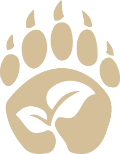 /Rules/Source/books/players-handbook-2024/img/029-03-005-druid-symbol.webpcenter wmed