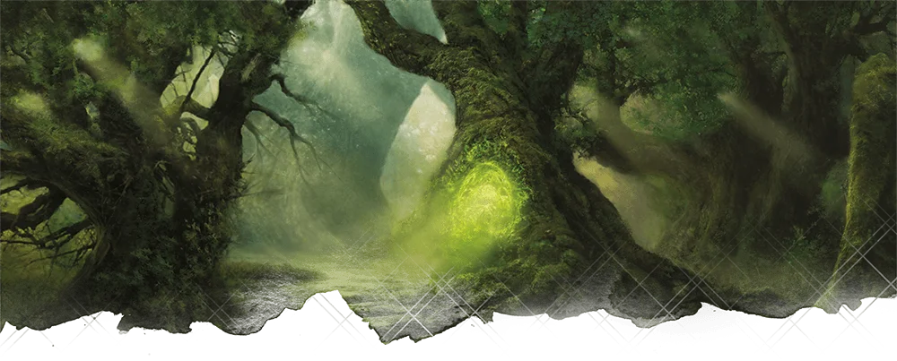 /Rules/Source/books/xanathars-guide-to-everything/img/ab001.webpcenter wmed