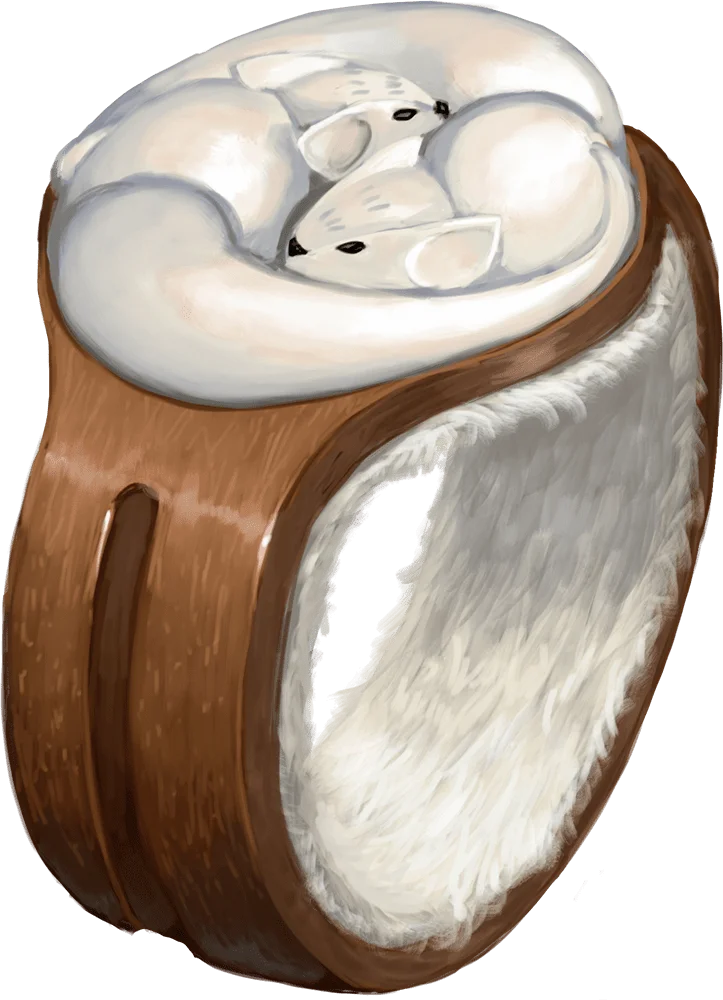 /Rules/Source/items/img/ring-of-warmth.webpright wmed