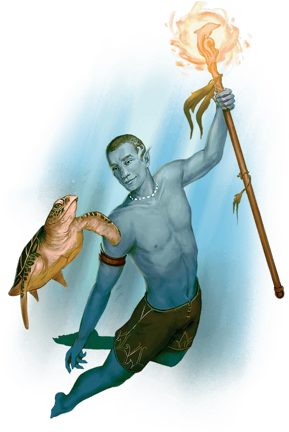 /Rules/Source/races/img/sea-elf.webpright wmed