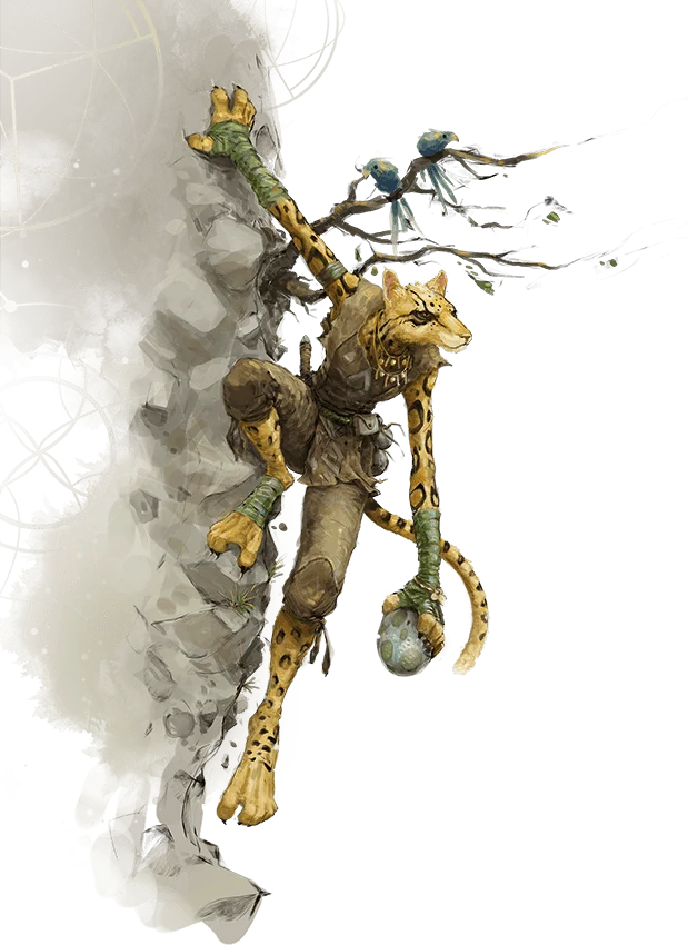 /Rules/Source/races/img/tabaxi.webpright wmed