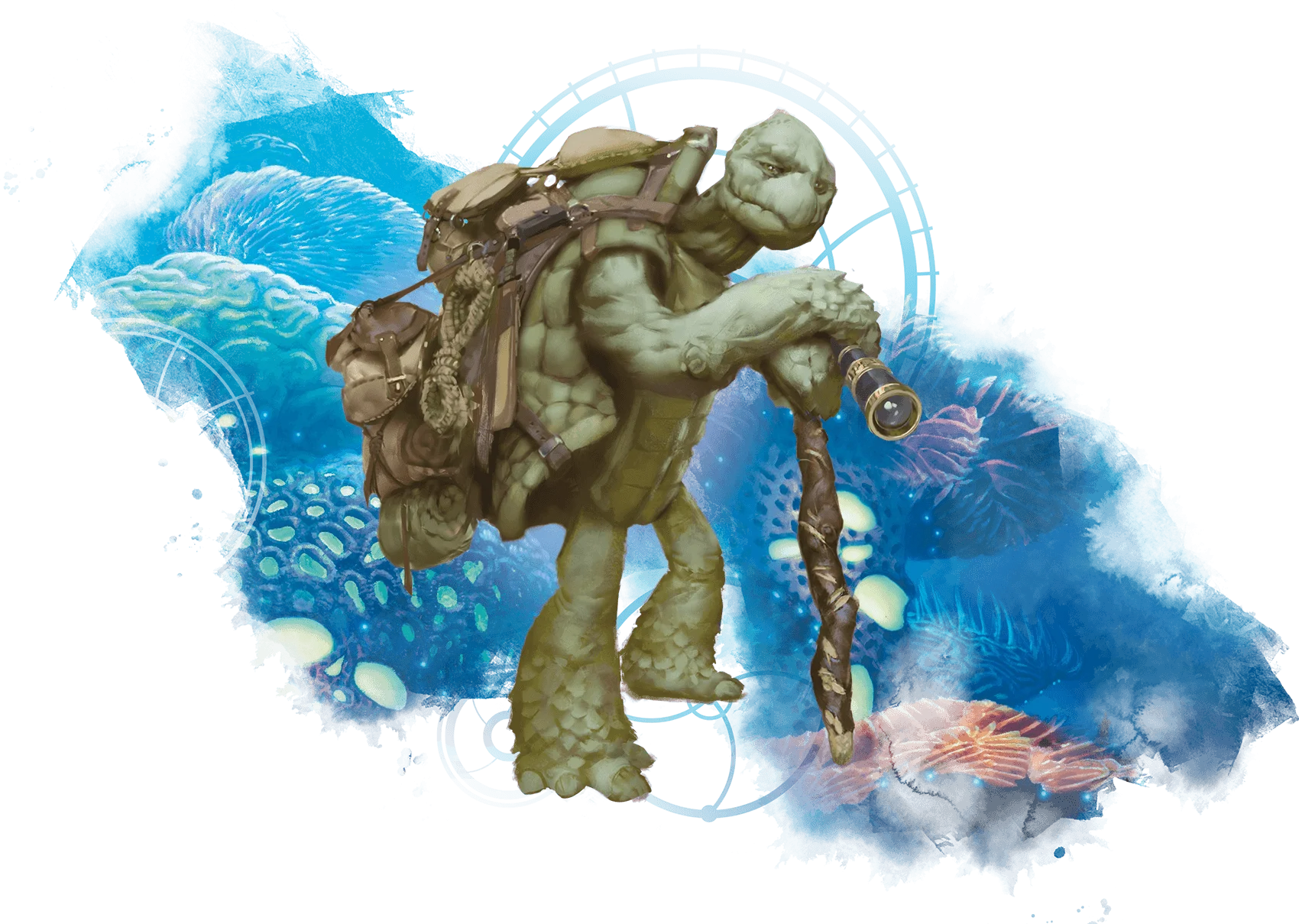 /Rules/Source/races/img/tortle.webpright wmed